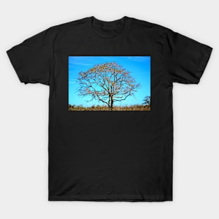 Beautiful Branching T-Shirt